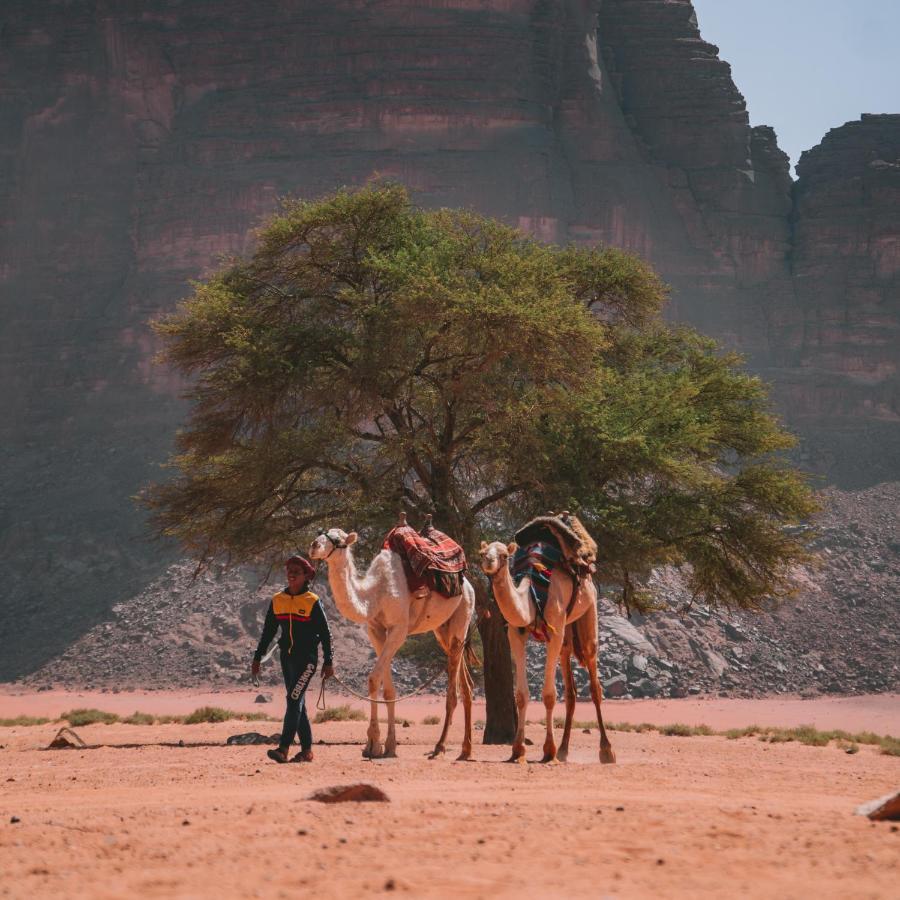 Wadi Rum Magic Nature Camp Hotel Exterior foto